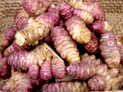 (熊本)桑原農園の赤菊芋(農薬・化学肥料不使用)1kg