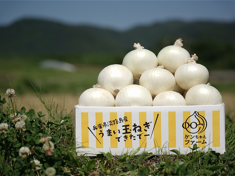 数量限定！【希少品種】　真っ白な白たまねぎ ５kg　特別栽培　ひょうご安心ブランド認証取得