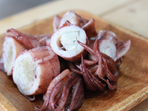 今が旬！！青森県産　ヤリイカ　約２kg