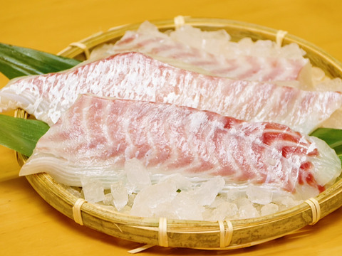 新発売 こどもが大好きな 鯛のピザ マルゲリータ Firesh 熊本県産の加工品 食べチョク 産地直送 産直 お取り寄せ通販 農家 漁師から旬の食材を直送