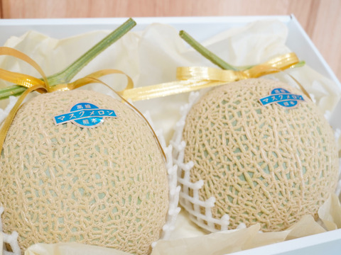 今季最終便【秋作】特選マスクメロン3.2kg以上(1.6kg以上×2玉・リボン付き・オリジナル化粧箱入り)