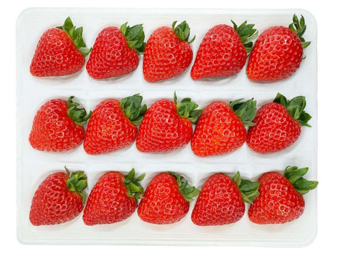 【予約販売】厳選あまりん　12-15粒