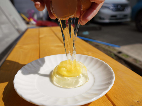 【塩で食べる卵かけご飯🍚】山もりたまご【20個入】白身の甘みを味わってみませんか？