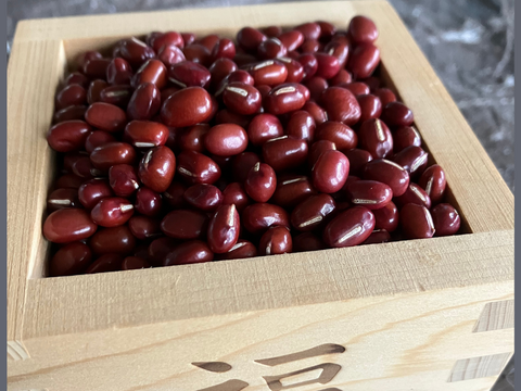 【在庫限り】小豆（1kg）《令和6年産》