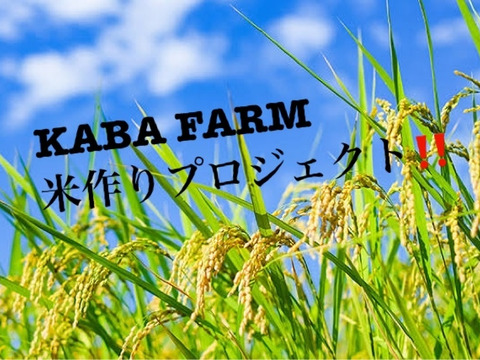 ひとめぼれ‼️天日干し自然栽培米5キロ