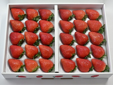 大粒とちあいか（30粒セット）