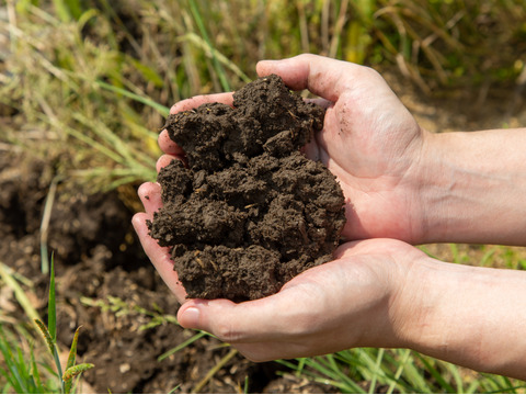 【発売記念特別セール!!】青森県のにんにく農家が本気出して作った「にんにく七味」ボトルと詰め替え用袋１セット【宅急便】