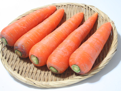 【ジュース用野菜セット】カラダに嬉しい！（人参・ビーツ・カーリーケール・赤軸ホウレンソウ）　農薬・化学肥料不使用栽培