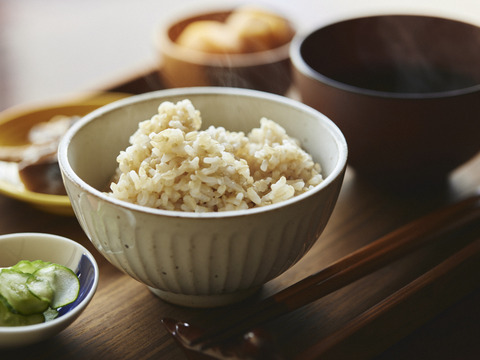 【食べ比べ】金鵄米白米3kg+玄米3kg計6kg(５分づき対応可) きんしまい2021年産ヒノヒカリ
