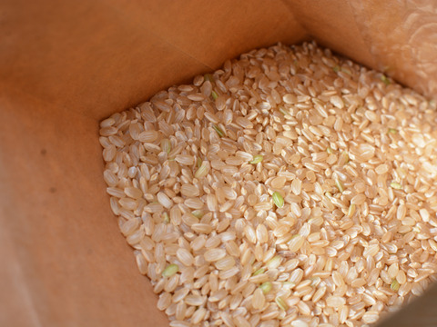 大粒の艶やかな新米！『粒すけ』5kg（玄米）