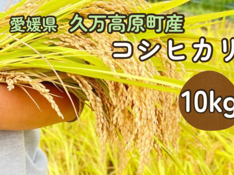 【令和7年産】【とまほっぺ】コシヒカリ・精米 10kg｜愛媛・久万高原直送
