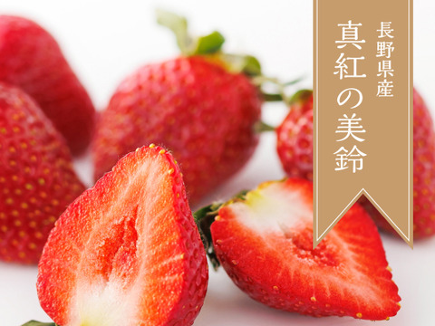 濃厚な甘さ！長野県産『真紅の美鈴』280g×２p
