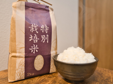 令和3年産 特別栽培米 きたくりん ななつぼし 各2kgセット【初回限定BOX】
