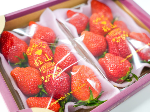 「食べチョクいちごグランプリ2026 」味わい部門「ザ・ジューシー賞」受賞【やよいひめ】(特大DX) 茨城県産 いちご ２パック×1箱