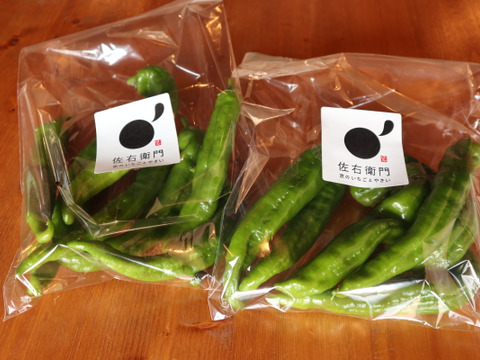 万願寺とうがらしより美味しい？！　『甘唐美人』１kg