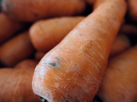 香りが濃い～🥕皮ごと食べたい
訳アリ有機人参 宮崎県綾町産(ご家庭用 箱込5kg)