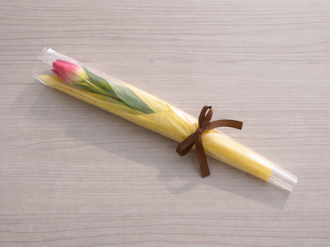 ご卒業・ご入学のお祝いチューリップ　1輪ラッピング🌷5本～（2個　10本でおまとめ可能）※北海道全域・沖縄県全域　配送不可※