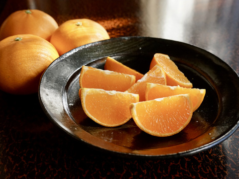 柑橘の大トロせとか！(訳あり 2kg)