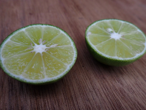 すだち様 楽天市場】【送料無料】【徳島県産】皮まで使える すだち L〜3L 1箱