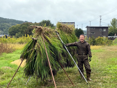 【2025年度産】自然栽培&天日干し『古代米ミックス』［紫黒米＋緑米］玄米250g（富山県氷見産）