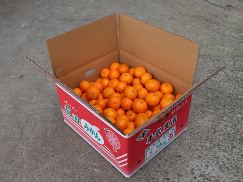 【冬ギフト】農家直送！有田みかん10kg≪3Sサイズ（超小玉） 秀品≫【平武農園】～蛍飛ぶ町から旬の便り～　和歌山｜有田｜田口｜ギフト｜こだわり　産地直送　お取り寄せ