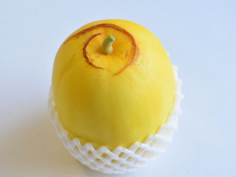 和らぎ農法　まくわうり