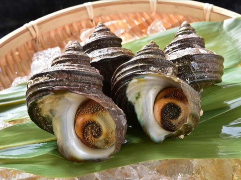 漁師直送！！鮮魚BOX　5種以上