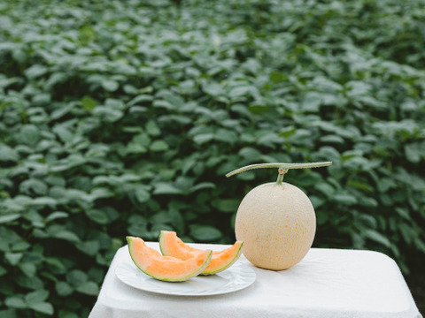 十勝メロン（赤肉キングメロン）2個入れ