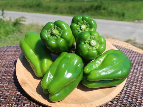 野菜セットA（キャベツ4玉・ピーマン約2kg・にんじん約4kg） 3種セット 野菜セットC（キャベツ5玉・たまねぎ約5kg・ピーマン約2.5kg