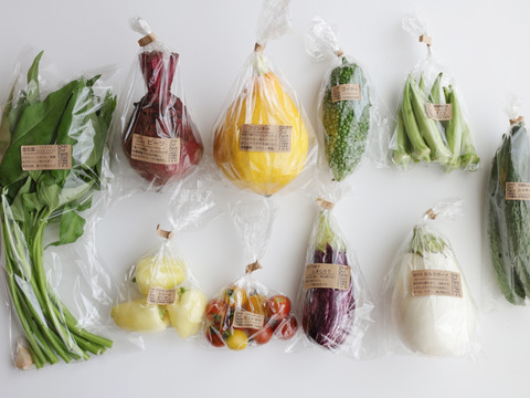 農薬・化学肥料不使用」のお試し野菜セット/7-8種類/【夏ギフト】/簡単