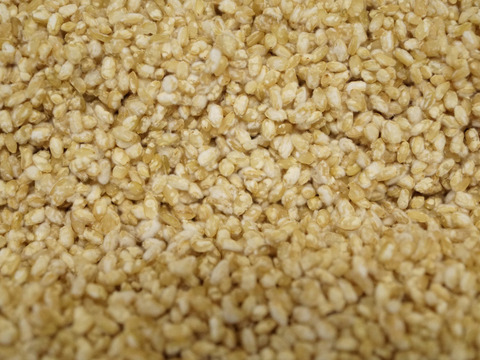 玄米麹 （500g）　~栽培期間中 農薬・化学肥料不使用~