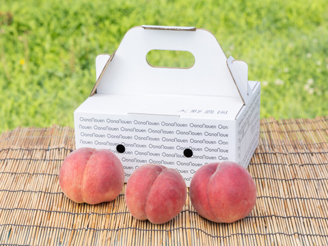 【桃：ゆうぞら】晩成腫の代表！最高の甘味と食味！1.5kg程度（8～4個入り）