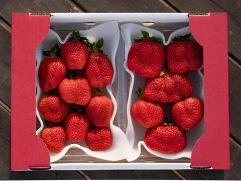 あまおう サイズ色々！270ｇ×4パック　たっぷり1080ｇSP