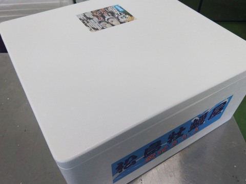 【水産庁補助事業 送料無料】剥き身セット🚚13.3kg 予約販売 【1/7～発送スタート】生牡蠣🦪生食用むき身300g+殻付き牡蠣普通サイズ １３kg（目安78-208個）松島牡蠣屋