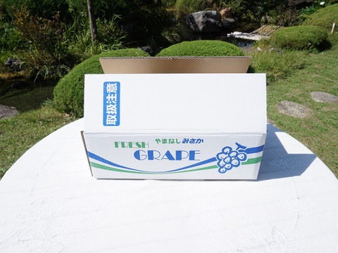 【まもなく終了！】平井利右衛門の赤ぶどう(クイーンセブン・サンシャインレッド/各2～3房)