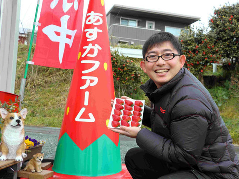 【いちご食べ比べ】4種類食べ比べ 全て違った味、香り、甘さいちごのテーマパークへ導きます (大きさ不揃い)  約280ｇ4パック