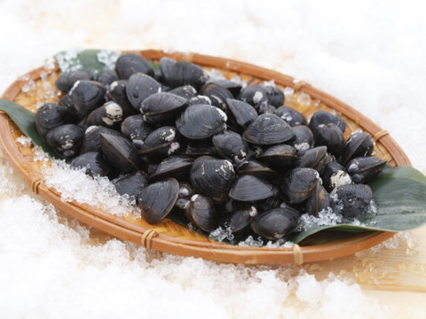 出汁がたっぷり【寒しじみ】十三湖産お得な小サイズ2kg