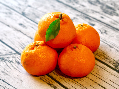 【柑橘食べ比べ】豪華6種セット！和歌山の畑からフルーツ詰め合わせ　約4.5kg