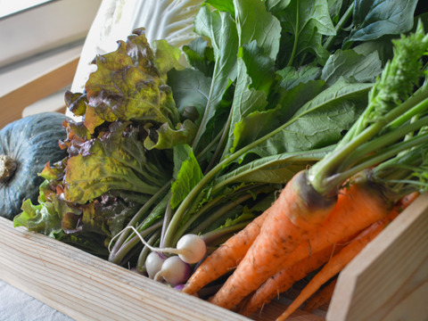 冬野菜セット9～10品目(３～4人分)　元イタリアンシェフが育てる「濃厚で甘み・苦味の濃い野菜」家族で１週間楽しめる野菜セット【福袋】