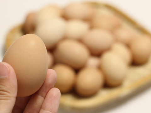 【大寒卵】★★★平飼いで育てた有精卵25個入り★★★
小振りながらも濃厚な土佐ジロー卵 　贈答やギフトにもおすすめ　仁淀ブルーの町いの町からお届け