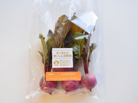 和らぎ農法　もものすけかぶ（2～6個）