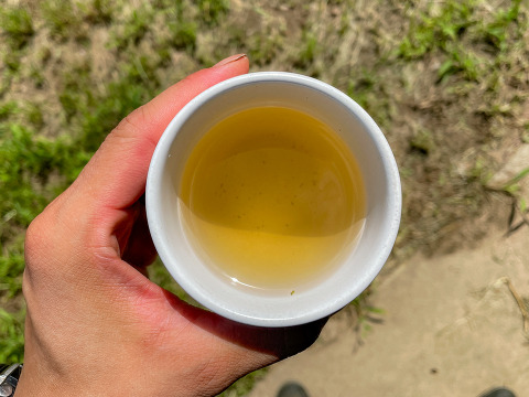 【当日採取でお届け】天然 自然栽培 ドクダミの葉っぱ ネコポスでお届け