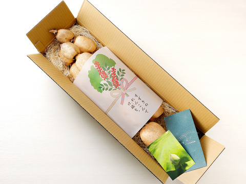 【2025年野菜ソムリエサミット金賞】（クール便）すずきの「口福れんこん」 松 ４キロ