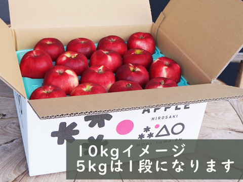 低農薬で皮ごとおいしい【旬の葉とらずりんご】5kg送ります！　品種おまかせ🍎