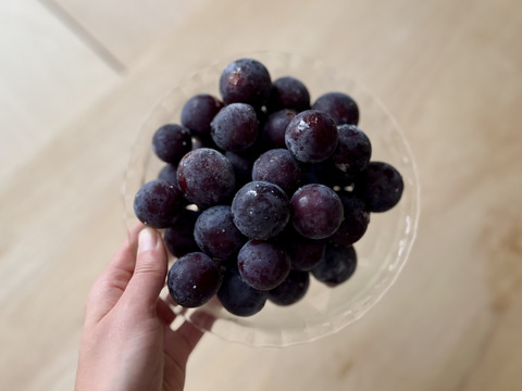 【冷凍ブドウ】ナガノパープル【長野県産】500g [FNp]