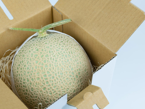 茨城県産 アールスメロン 1玉【特秀】
