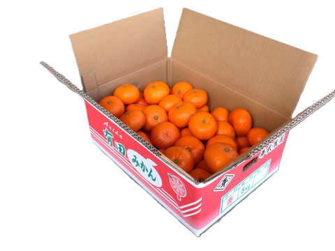 【冬ギフト】【予約割引中】農家直送！完熟有田みかん　M5kg（中玉）　～蛍飛ぶ町から旬の便り～　和歌山｜有田｜田口｜ギフト｜こだわり