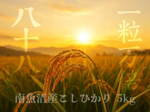 【ゲン担ぎ福袋】南魚沼産こしひかり5ｋｇ