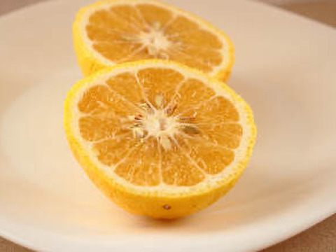 愛媛県産 訳あり はるか5kg