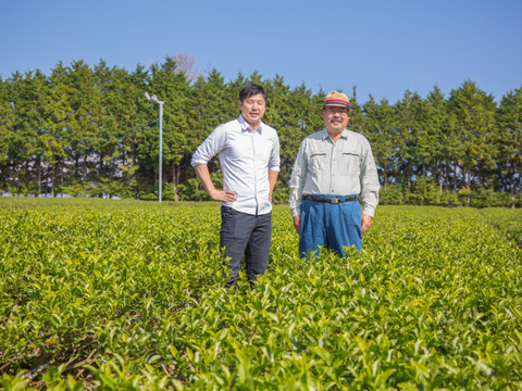 【新発売・スマートレター発送】開拓から一度も農薬を使っていない茶園のオーガニック煎茶特「大地の心」100ｇ